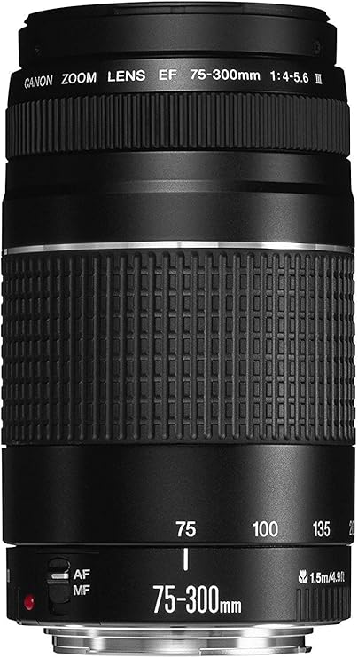 Canon 75-300 mm f/4-5,6 - EF